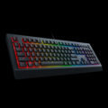 Razer Cynosa V2 Gaming Keyboard, RU layout, Wired, Black