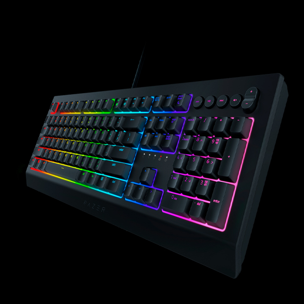 Razer Cynosa V2 Gaming Keyboard, RU layout, Wired, Black