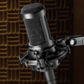 Audio Technica Cardioid Condenser Microphone AT2035 0.403 kg, Black
