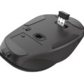 MOUSE USB OPTICAL WRL FYDA/BLACK 23804 TRUST