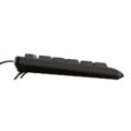 KEYBOARD USB PRIMO/EE 24466 TRUST