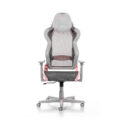 DXRacer AIR R1S-GPG — изображение 2